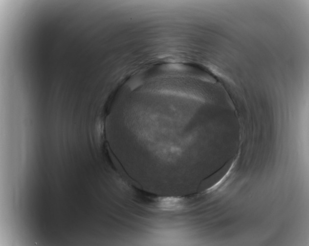 X0000089880192200707051217