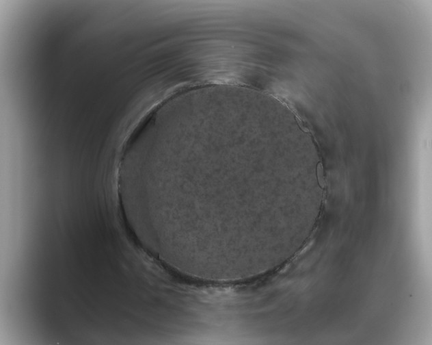 X0000089880194200707051216