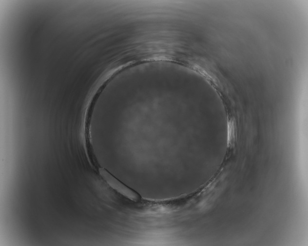 X0000089880195200707051216