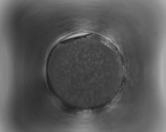 X0000089880196200707051216