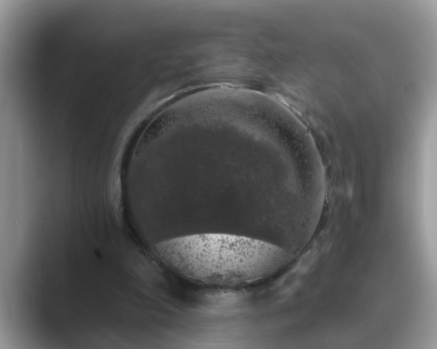 X0000089880198200707051216