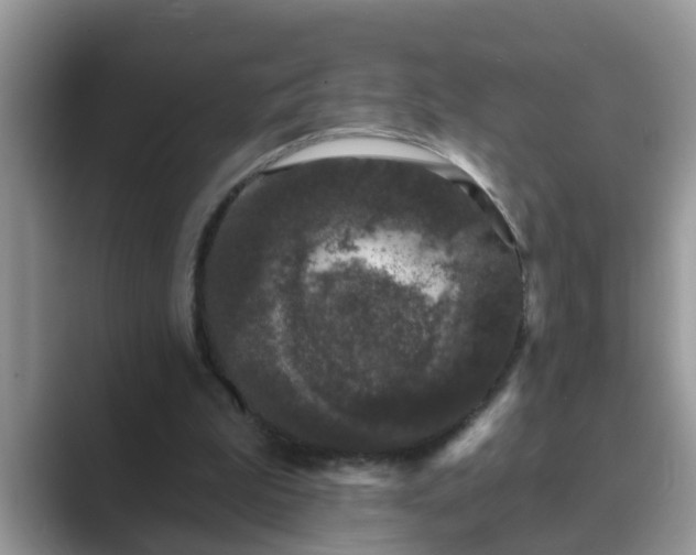 X0000089880199200707051216