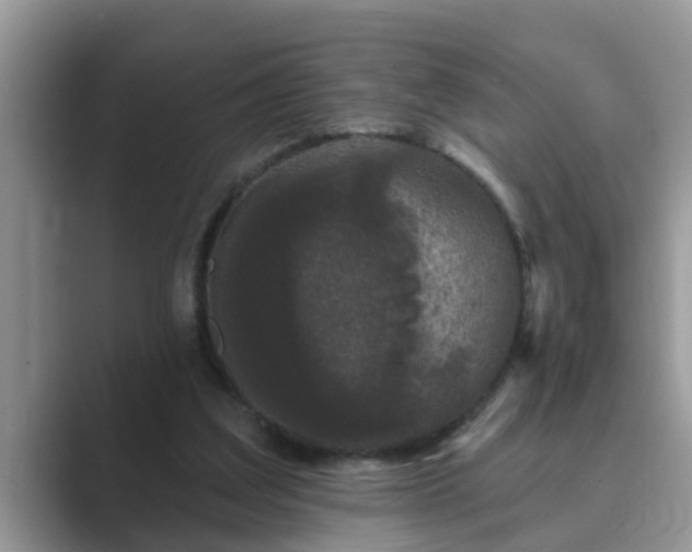 X0000089880203200707051216