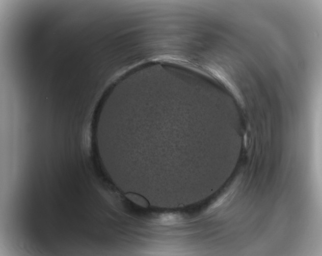 X0000089880204200707051216