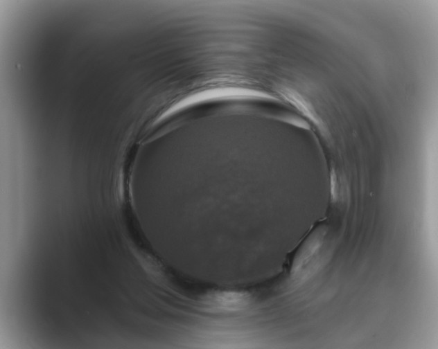 X0000089880205200707051216