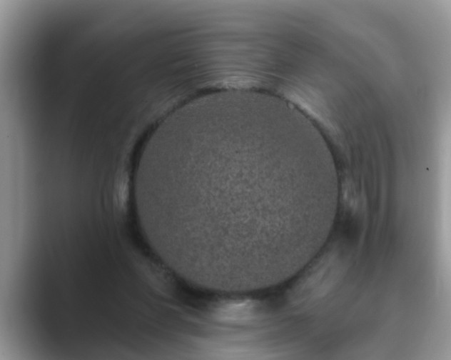 X0000089880206200707051216