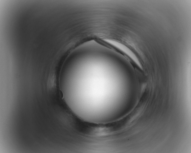 X0000089880212200707051216