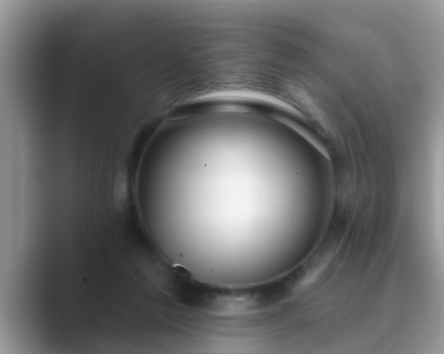 X0000089880213200707051216