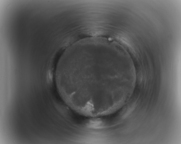 X0000089880214200707051216