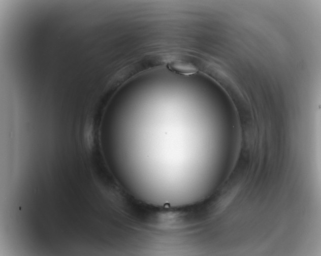 X0000089880216200707051216