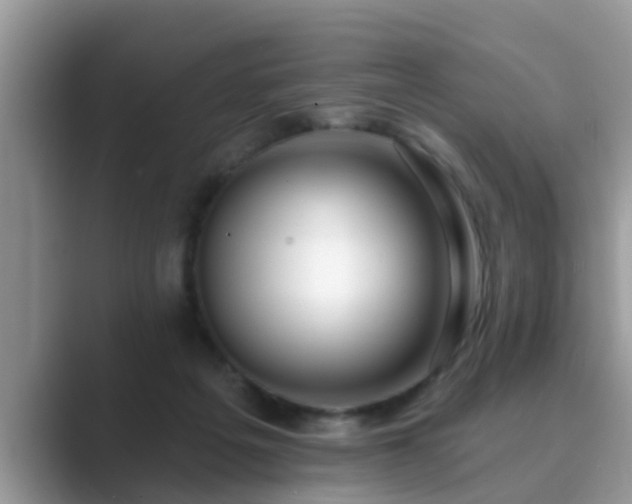 X0000089880217200707051216