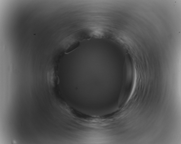 X0000089880223200707051216