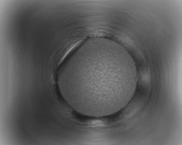 X0000089880224200707051216