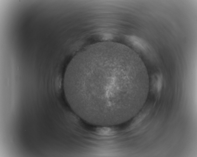 X0000089880230200707051216