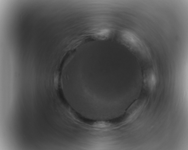 X0000089880231200707051216