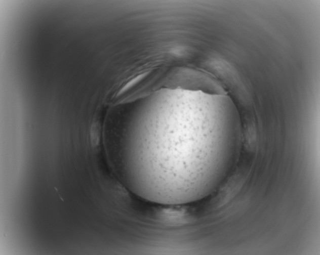 X0000089880232200707051216