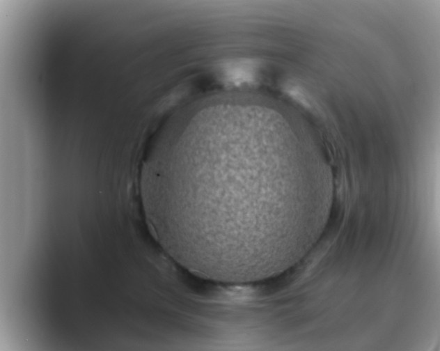 X0000089880233200707051216