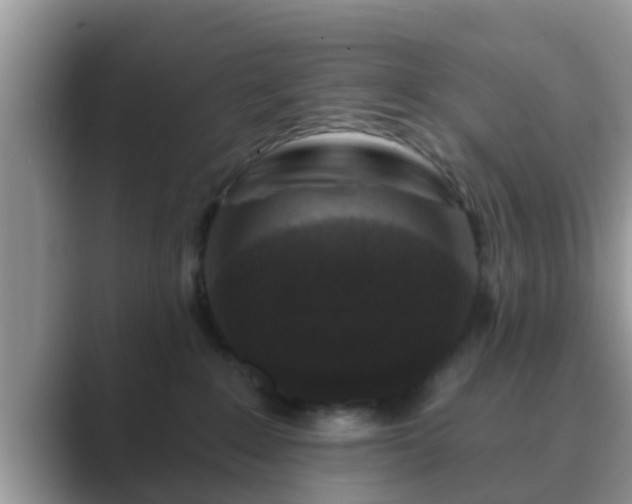 X0000089880235200707051216