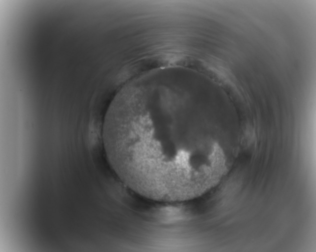 X0000089880236200707051216