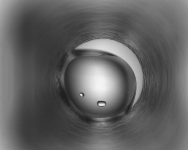 X0000089880237200707051216