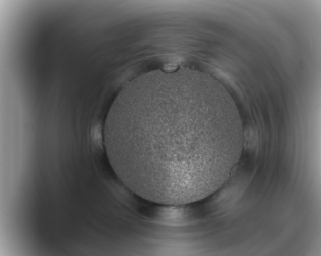 X0000089880238200707051216