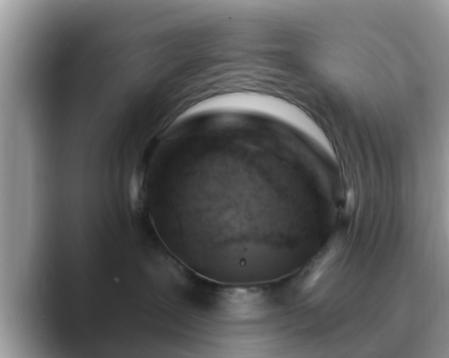 X0000089880239200707051216