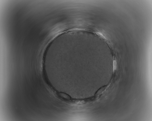 X0000089880243200707051215