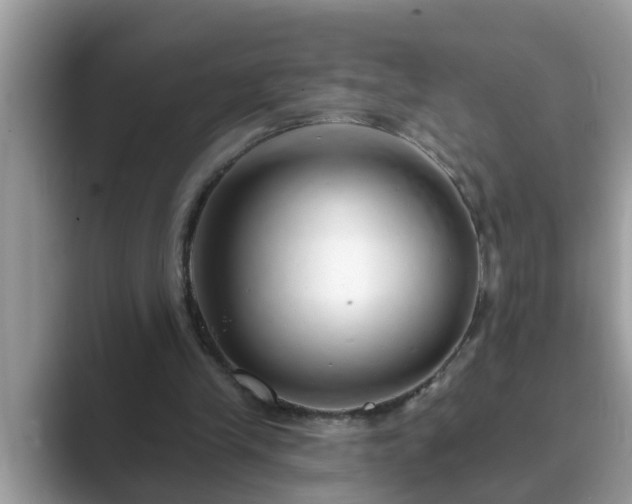 X0000089880245200707051215