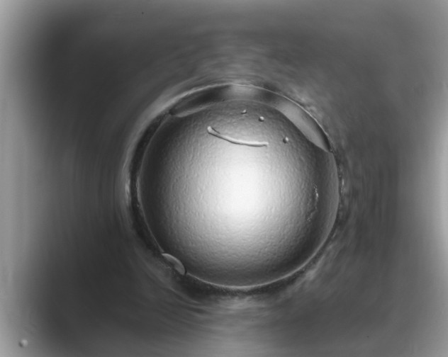 X0000089880246200707051215