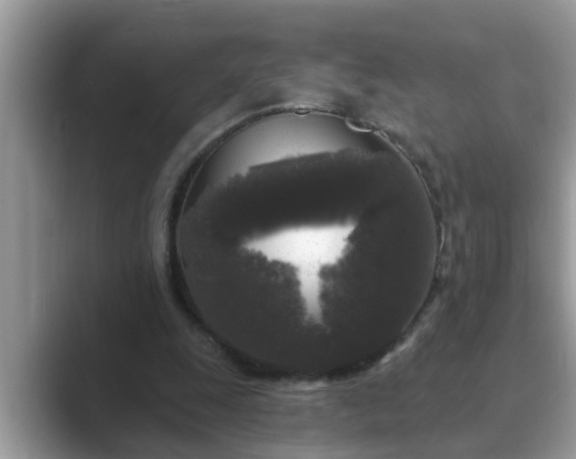 X0000089880247200707051215