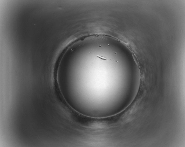 X0000089880248200707051215