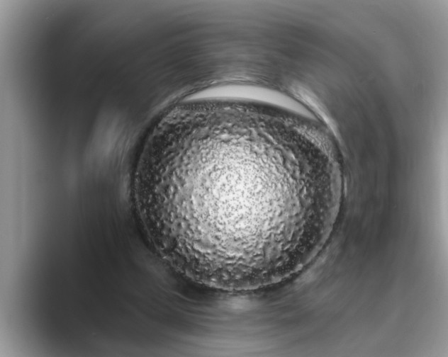 X0000089880249200707051215