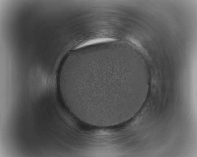 X0000089880250200707051215