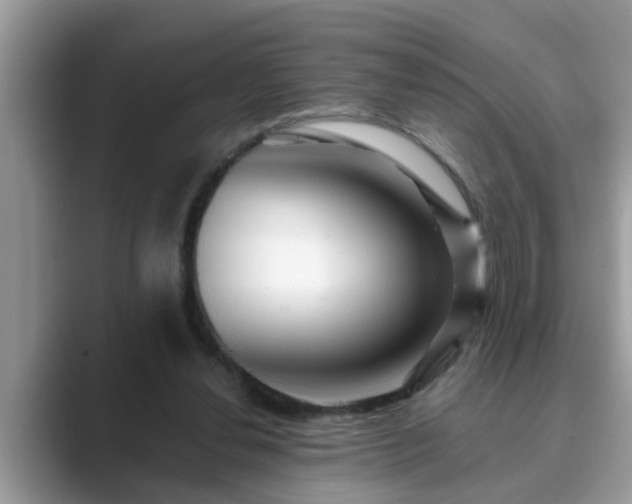 X0000089880252200707051215