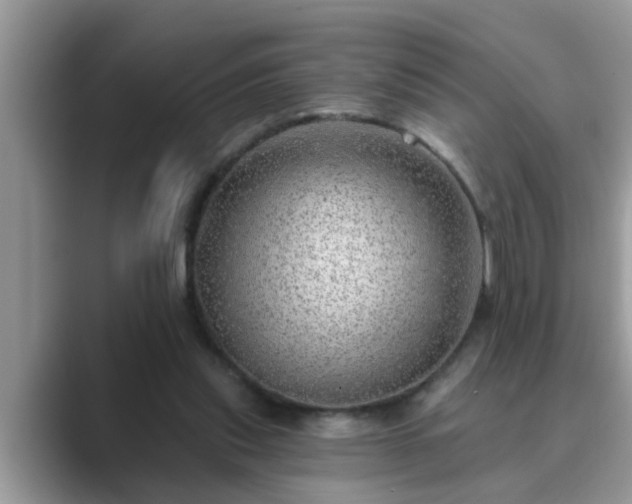 X0000089880253200707051215