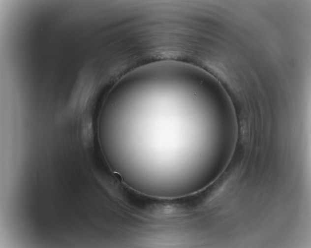 X0000089880254200707051215