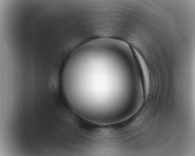 X0000089880255200707051215