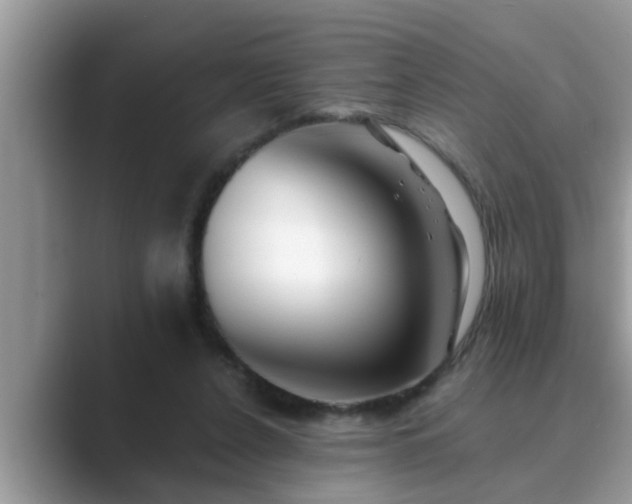 X0000089880256200707051215