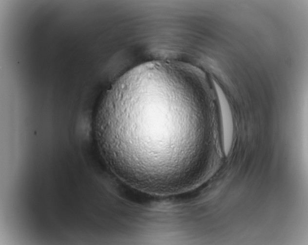 X0000089880259200707051215