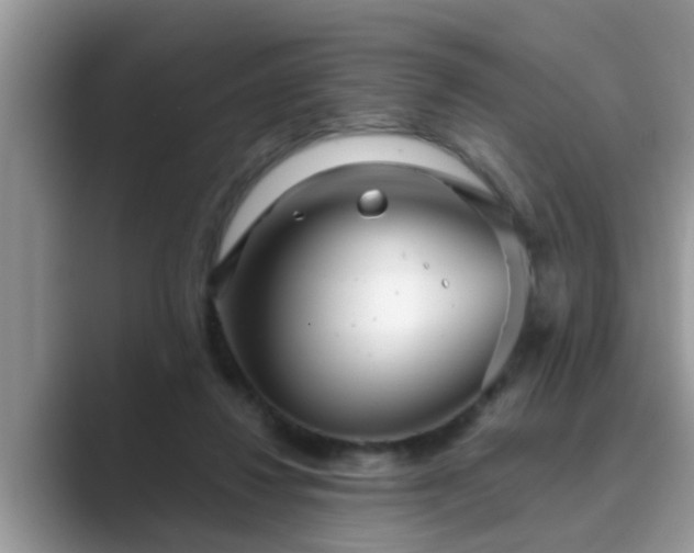 X0000089880260200707051215