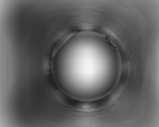 X0000089880264200707051215