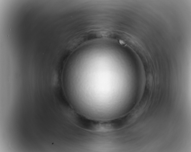 X0000089880270200707051215