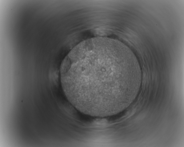 X0000089880271200707051215