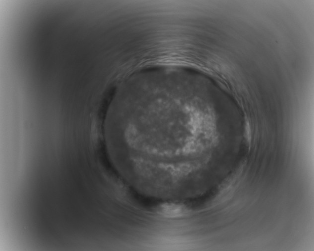 X0000089880272200707051215