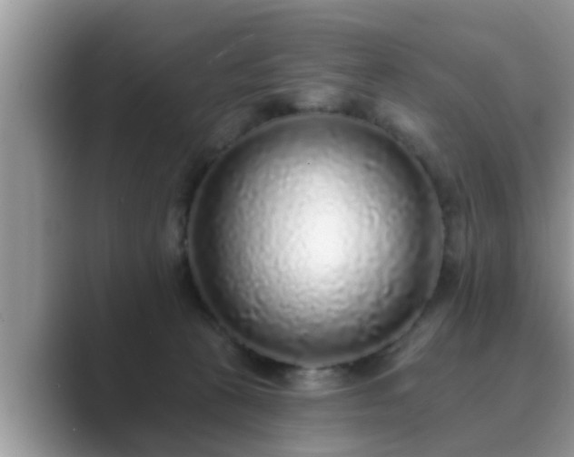 X0000089880273200707051215