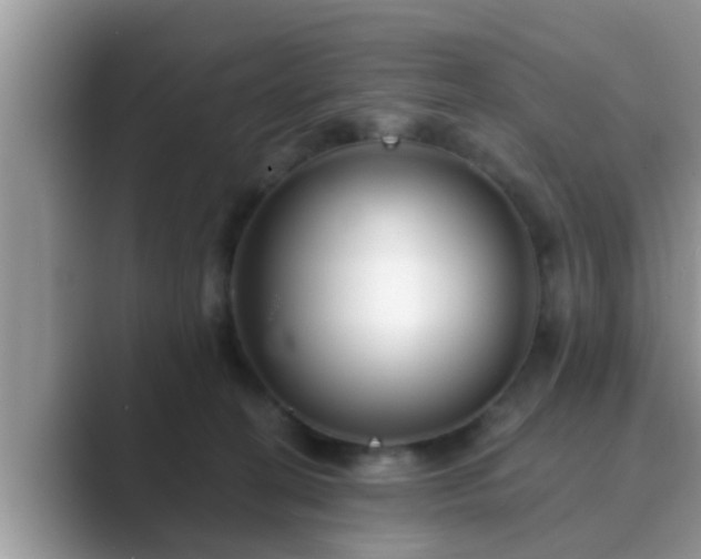 X0000089880274200707051215