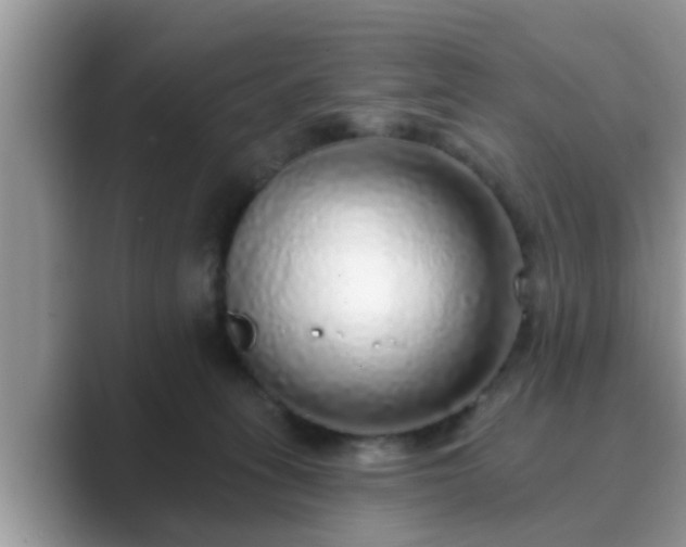 X0000089880275200707051216