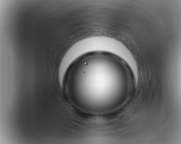 X0000089880276200707051216