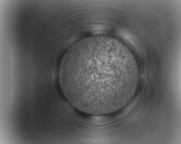 X0000089880277200707051216