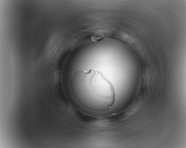 X0000089880278200707051216